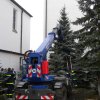 christbaumaufstellen 2017 04